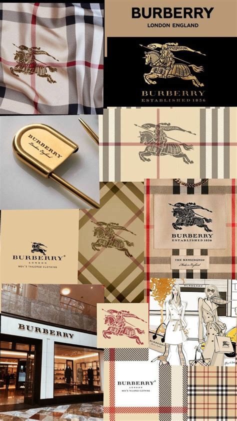 burberry introduction|burberry background information.